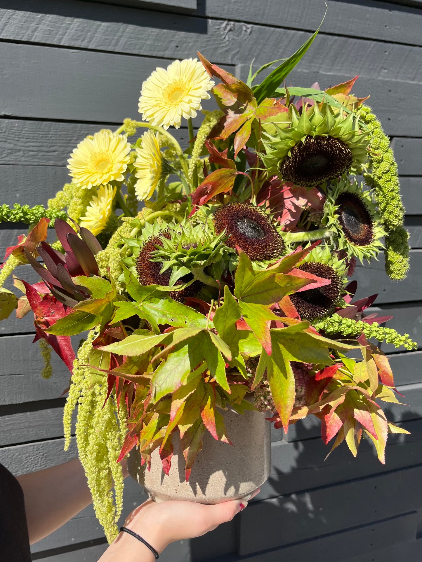 seasonal color
