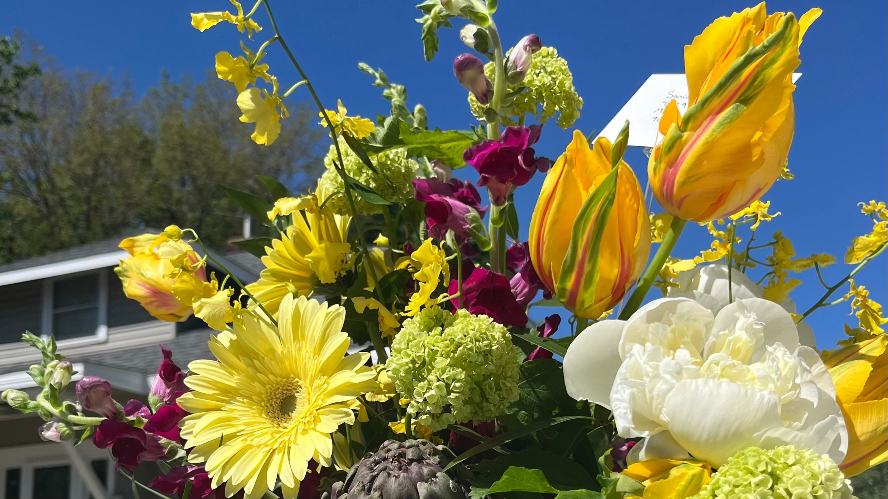 Collections – Chez Bloom