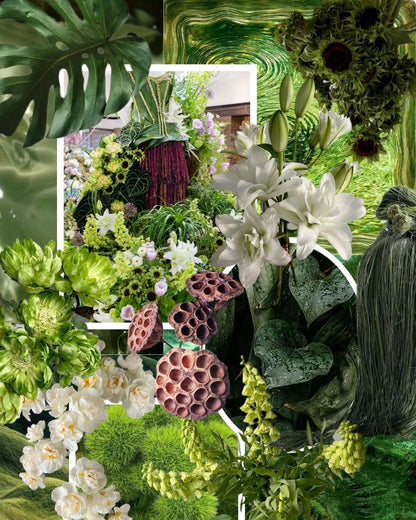 mother nature