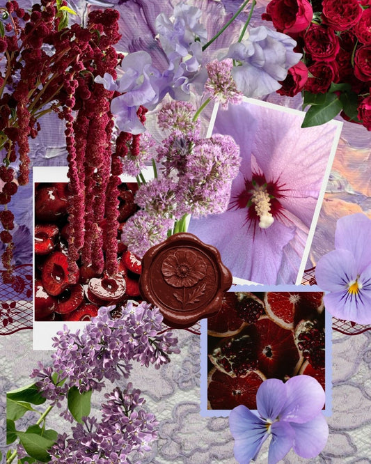 designer's choice - garden