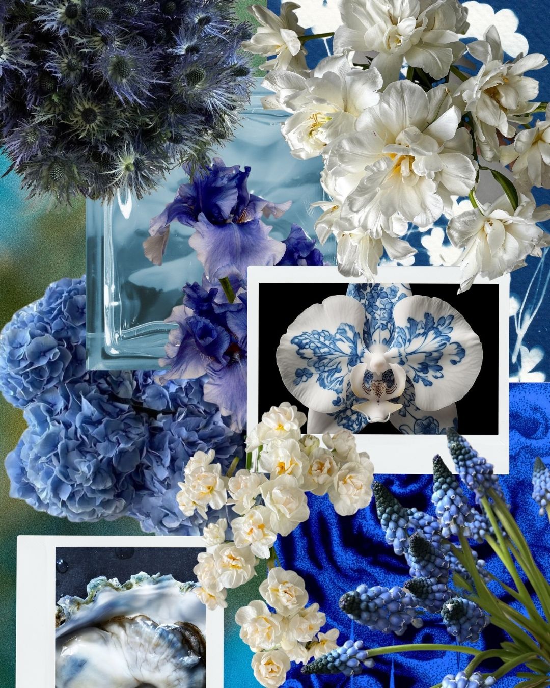 true blue